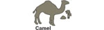 Camel Tire Patch