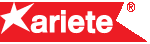 Ariete Goggles